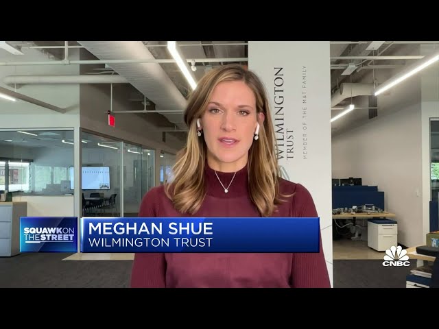 We are 'cautiously optimistic' on the tech sector, says Wilmington Trust's Meghan Shue