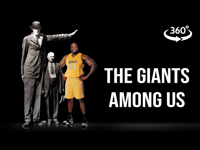 TALLEST PEOPLE IN THE WORLD Height Comparison VR 360 4k Immersive Experience