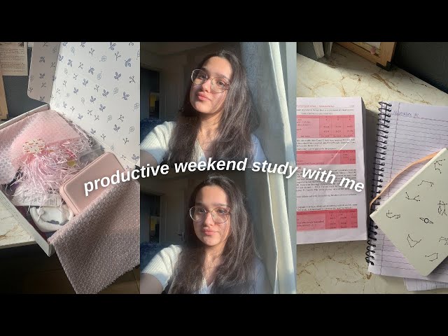 study vlog | productive weekend study with me | cbse grade 12 |