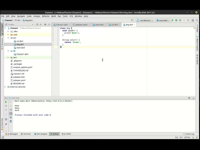 Flutter 7 -  Intro to Classes