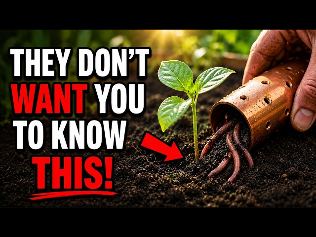 The $2 Copper Pipe They Called Pseudoscience — Why Official Science Buried It