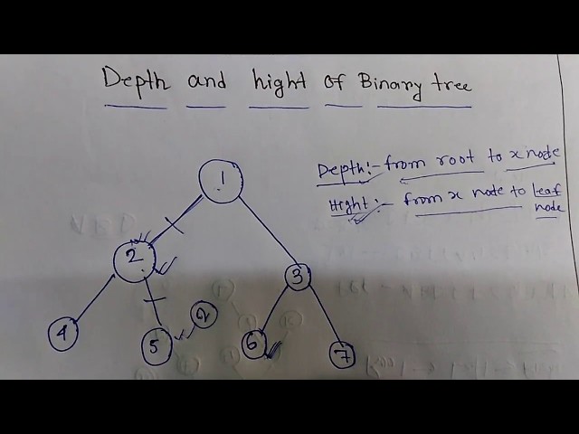Depth And Hight of Binary Tree:Data Structure
