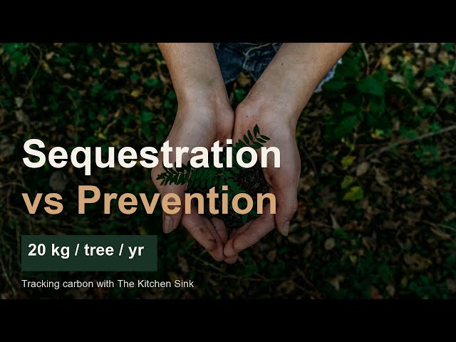 Tracking Your Carbon Impact — sequestration vs prevention with The Kitchen Sink