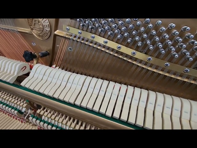 Upright Piano Regulation: Some Common Problems