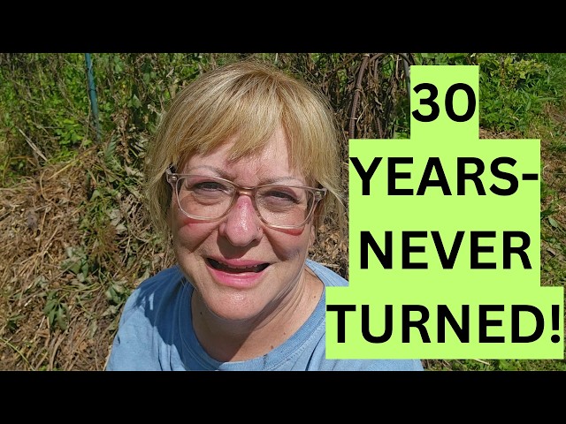 I've Had This Compost Pile for 30 Years... I've Never Turned It
