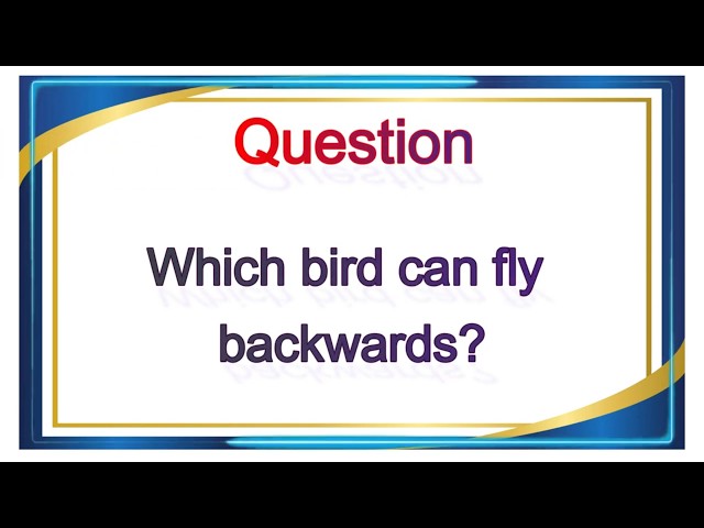 General Knowledge Question Answer Quiz | Test Your Brain GK Questions #quiz #generalknowledge v11