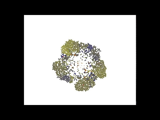 PhysiCell demo: heterogeneous tumor growth