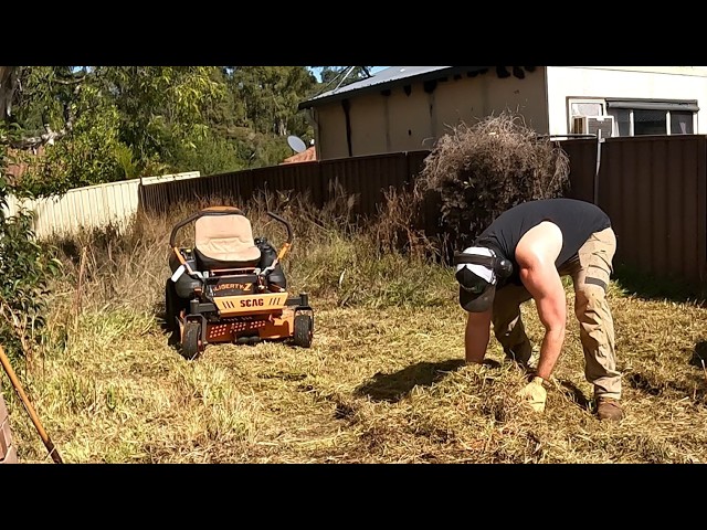 Yard Clean Up That I Couldn't Finish... So What Happened Next?