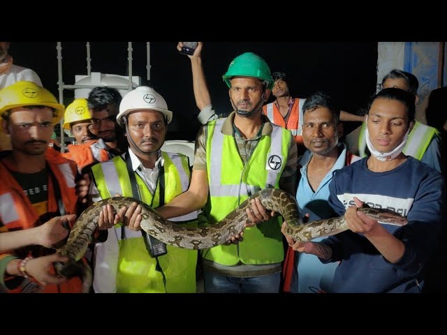 ANACONDA RESCUED IN MIDDLE OF SEA ?? PYTHON VS ANACONDA