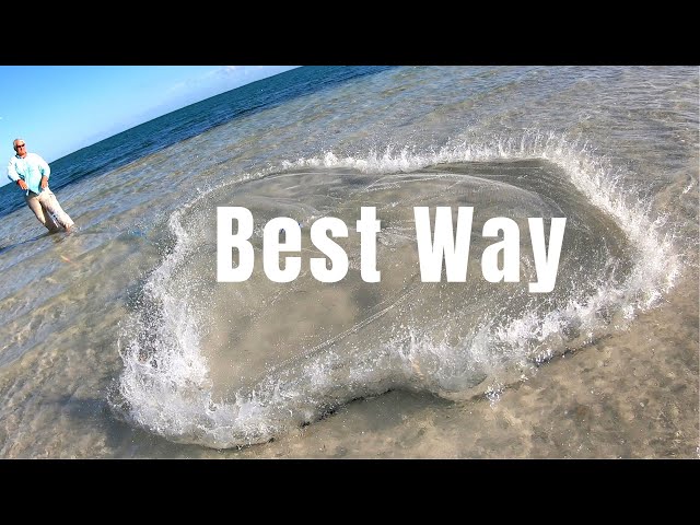 How to Throw a Cast Net, Two Best Ways, Easy and Clean