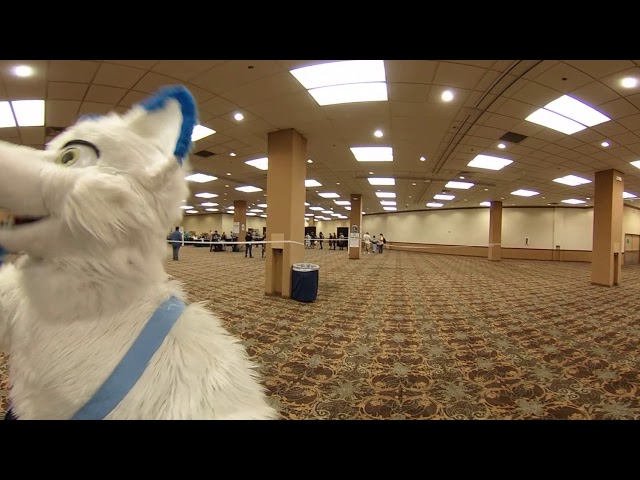 BLFC 2018 Day 0: Reg Lines
