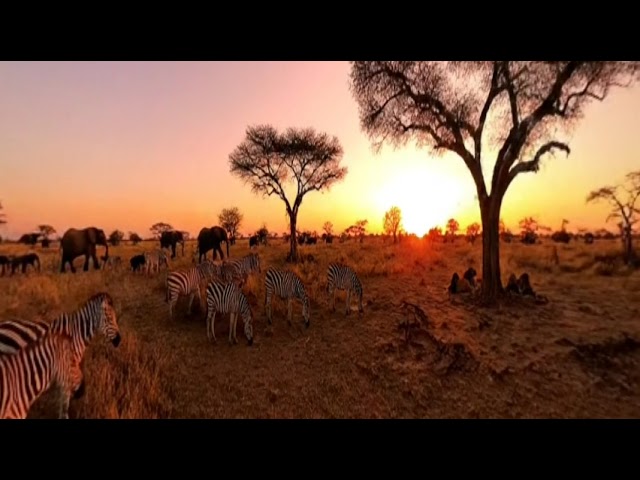 180-Degree VR Video Experiment Created with AI