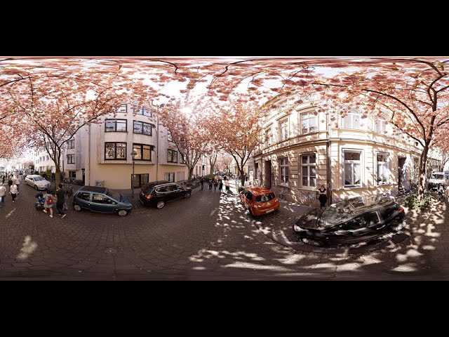 360° STOCK VIDEO 4K | Cherry Blossom Street | Atmosphaeres