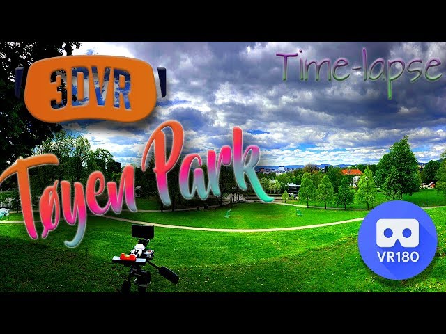 [3D VR Time Lapse] Clouds flowing by in the park