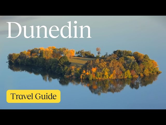 Dunedin Vacation Travel Guide | Expedia