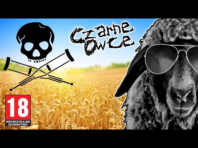 Farmers, BBQ, wild boars, swimming in the Vistula, pharmacies, and anglers [BLACK SHEEP] [#36]
