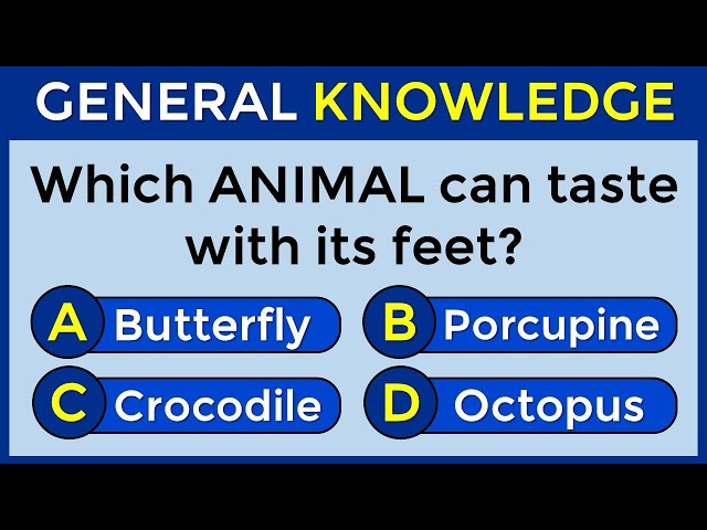 How Good Is Your General Knowledge? Take This 50-question Quiz To Find Out! #challenge 24