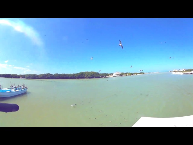 Un día de grabación de Gaviotas/ Vídeo 360