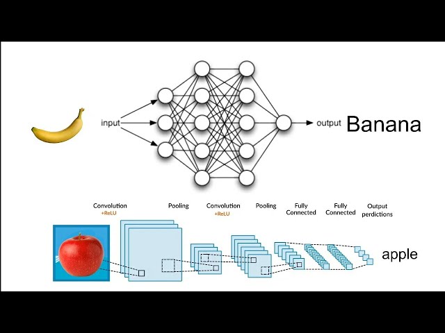 Fruit Classifier Convolutional Neural Network      AI #chatgpt