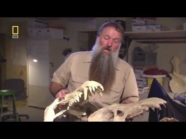 Prehistoric predators   Wildlife Animals