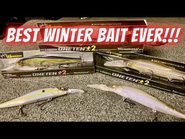 The Best Winter Bass Fishing Bait Ever!!! Complete Guide on How Fish a Jerk Bait at Lake Fork!