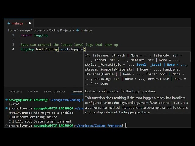 I'm Learning Python (Day 24: Logging Module Basics)
