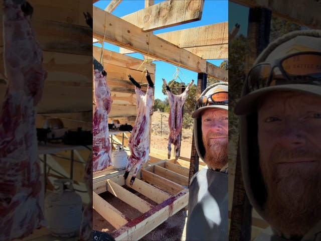 It's too EXPENSIVE to start a HOMESTEAD! #homesteading #homestead #homesteader #offgridliving