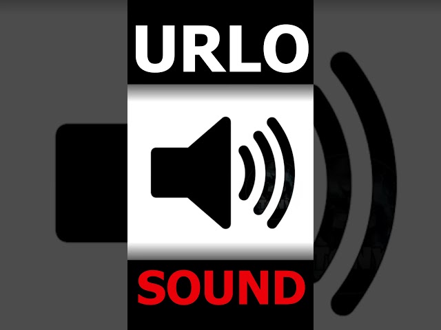 Scary, scary scream! #scary #sounds