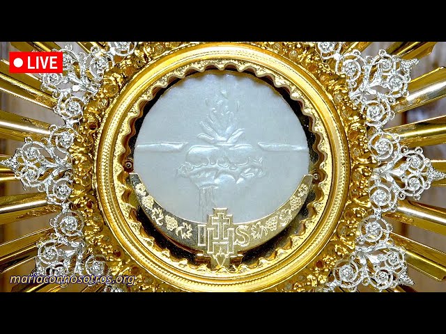 Perpetual Adoration Live✨Eucharistic Adoration Live Stream✨2-6-2026