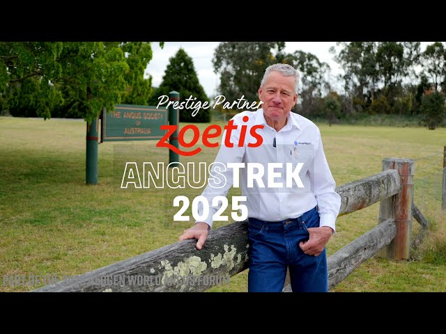 Join Us at Wise Repro & GlenIsa Angus | Special 2025 AngusTREK Invitation from Ced Wise
