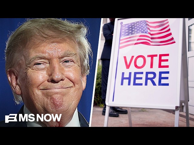 Supreme Court's Ruling: Trump can use expanded voter verification database 