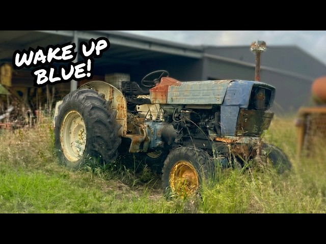Will it START & DRIVE? 58YR OLD Blue Ford 5000 Tractor left SITTING in the FIELD