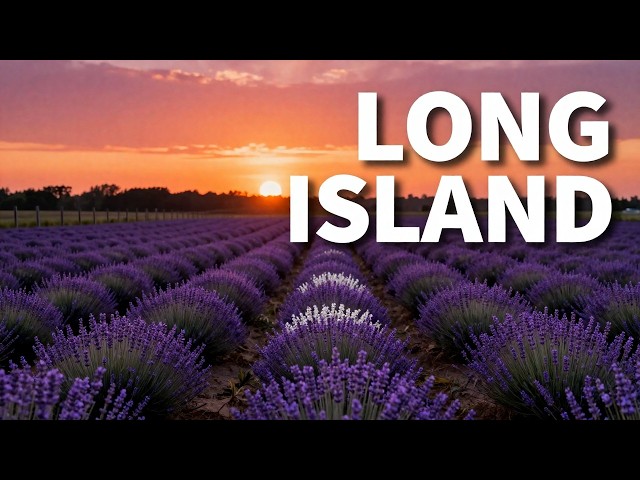 The Hamptons Are the Most Overrated Part of Long Island. Here Are 22 Places I'd Go Instead.