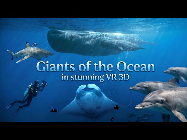Giants of the Oceans in 3D (VR 180)