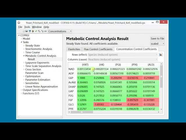 Copasi MCA Tutorial