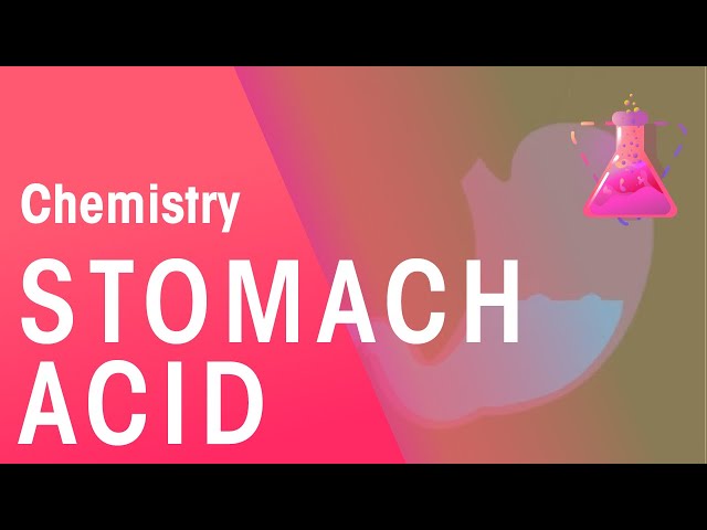 Stomach Acid | Acids, Bases & Alkali's | Chemistry | FuseSchool