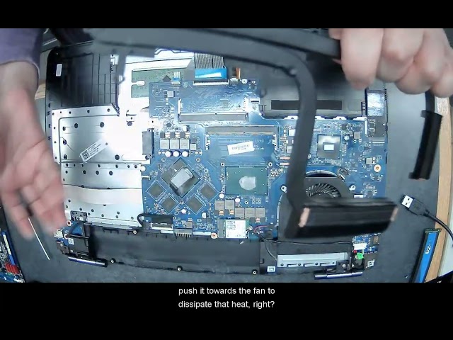 CPUs and GPUs (Hardware)