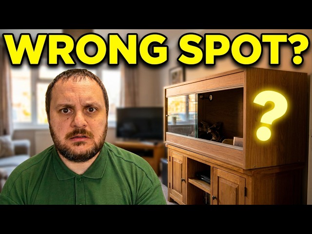 This Room Placement Mistake Could Hurt Your Reptile