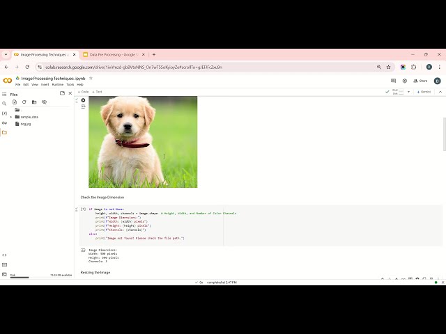 Image processing Techniques Python | OpenCV | Colab