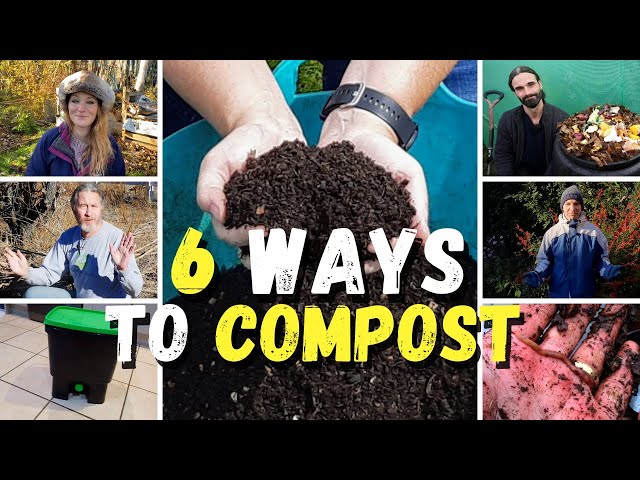 6 Ways to Compost