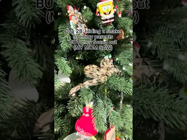 Day 28: Hiding a snake #snake #reptiles #youtubeshorts #pets #animals #cute #funny #shorts #viral