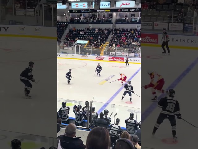QMJHL // 2025-09-19 // PUCK DROP // BAC 0 VS RIM 0 #shorts #qmjhl #lhjmq #oceanic