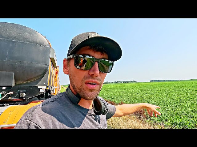 This Is The Year Farmers Dream Of! 
