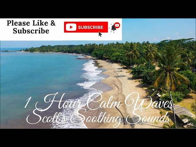 1 Hour Relaxing Ocean Waves, Sleep Sounds, Meditation, Study Sounds, Ambiance, Stress Relief