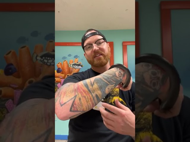 Mexican black Kingsnake facts and a story!