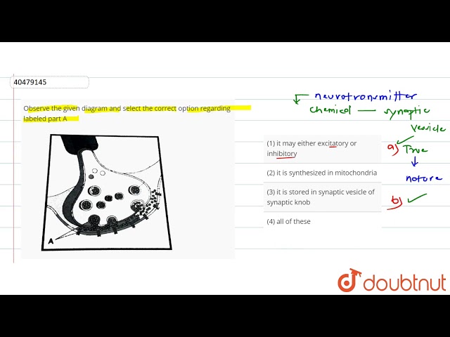 Observe the given diagram and select the correct option regarding labeled part