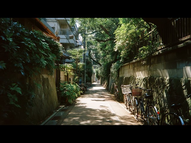 a calm lofi jazz playlist for peaceful nights and deep work