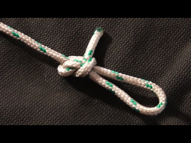 Learn How To Tie The Perfection Loop Fishing Knot