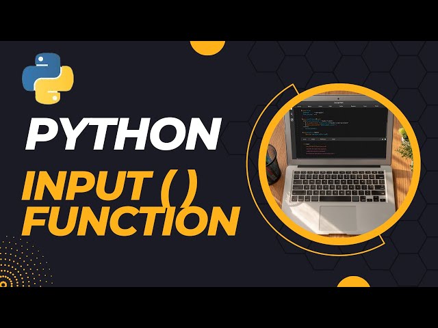 How to use the Python input() function | Basics of Python Programming