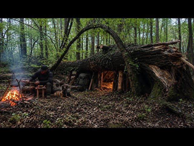 3 Days Living in the Wild – Bushcraft Shelter Building